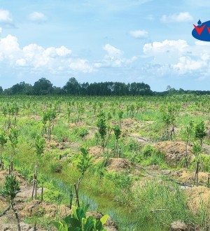 BÉC TƯỚI VINDRIP VD8-MINI - 30